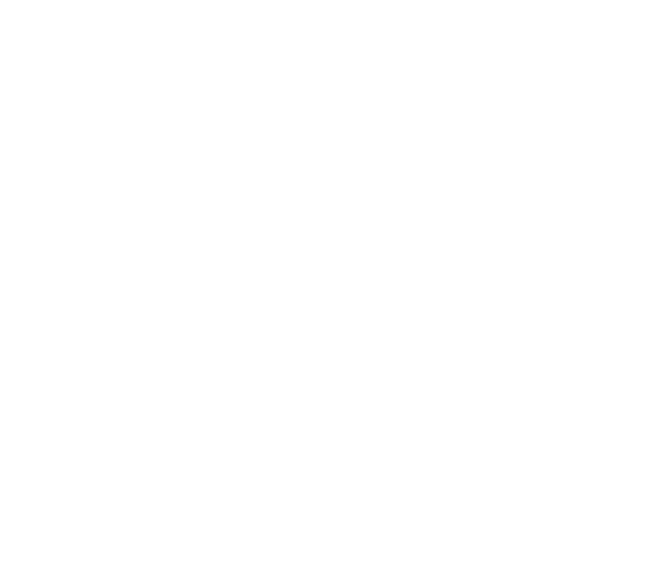 The Picklr logo