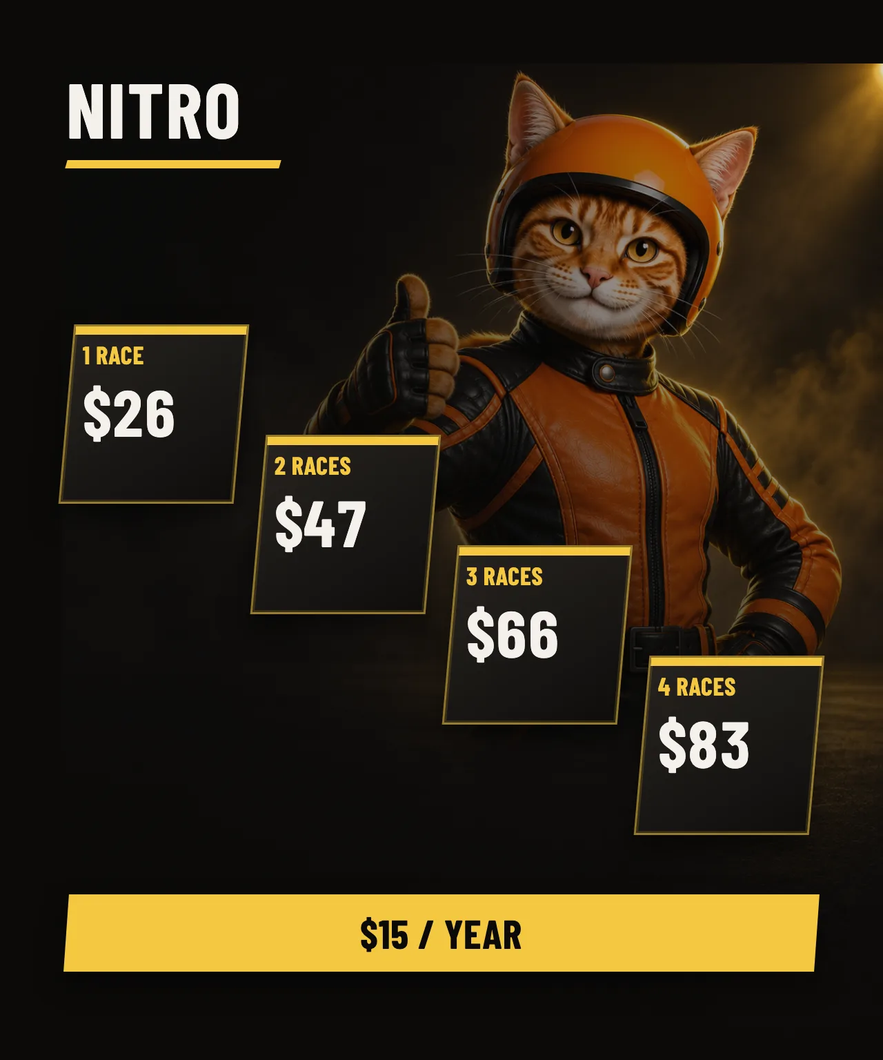 Nitro: $15 / year. Karting races: 1 race $26, 2 races $47, 3 races $66, 4 races $83.